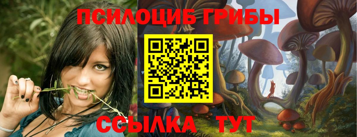 Галлюциногенные грибы MAGIC MUSHROOMS  Вход с VPN  Галлюциногенные грибы мухоморы  Сланцы 