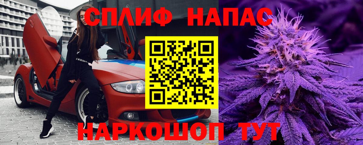 Шишки марихуана гибрид  Вход с VPN  Сланцы  Шишки марихуана планчик  Канабис ГИДРОПОН  Шишки марихуана MAZAR 
